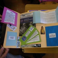 Lapbook 4