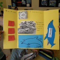 Lapbook 8