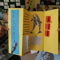 Lapbook 9